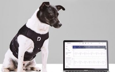What Is Wireless Monitoring for Pets and What Are Its Benefits in a Veterinary Practice?