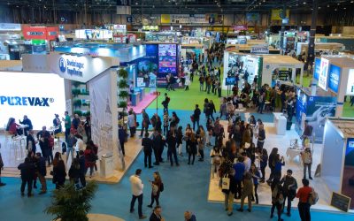 Dinbeat UNO® regresa a Iberzoo+Propet