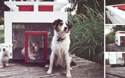 Descubre las casas más lujosas para perro