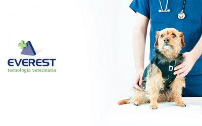 Dinbeat y Everest cierran un acuerdo para distribuir Dinbeat UNO en España