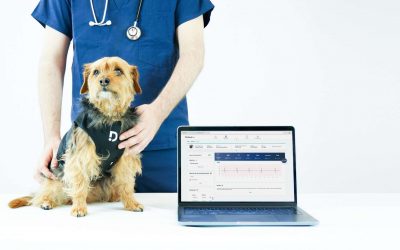 Material veterinario esencial para la clínica veterinaria del futuro