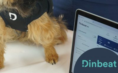 Aplicaciones para veterinarios: 9 indispensables para gestionar eficientemente tu clínica