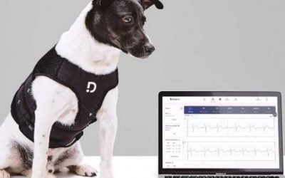What Are the Best Pet Monitoring Devices for Vets?