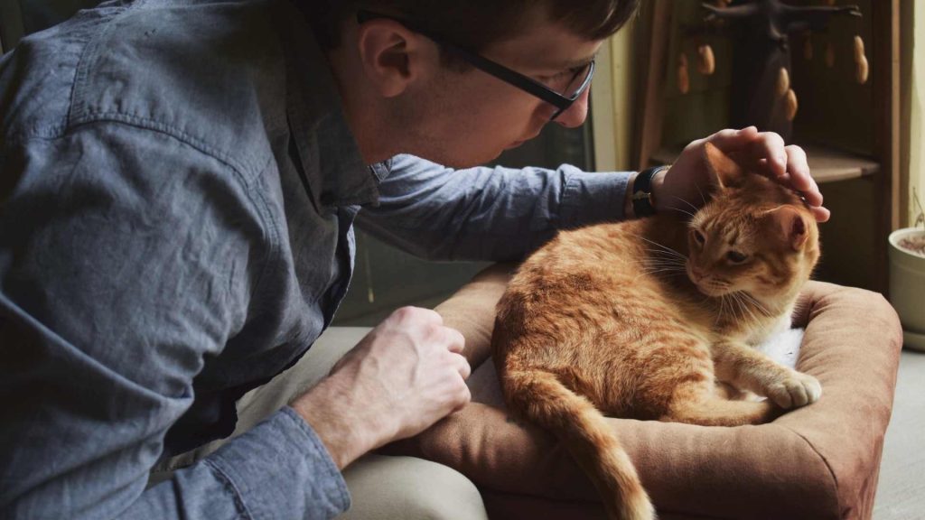 Cómo montar una clínica veterinaria: consejos para ver tu sueño hecho realidad