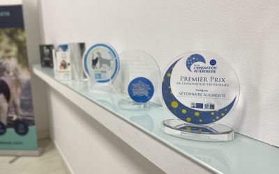 Nuestros premios del 2022